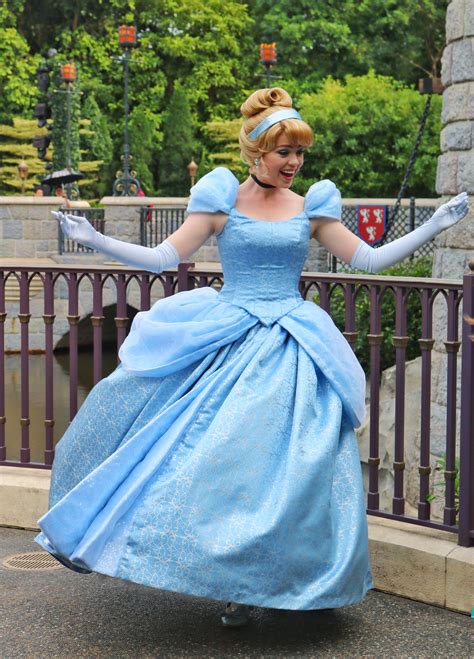 disney cosplay princess|Disney Princess Dress .